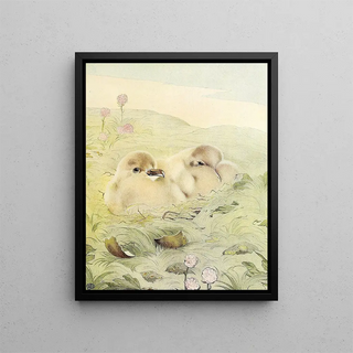 Edward Julius Detmold - The Skua.webp