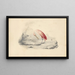 Een roze flamingo - Edward Lear — ingelijst kunstwerk aan de muur