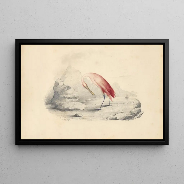 A flamingo - Edward Lear — framed artwork on a wall