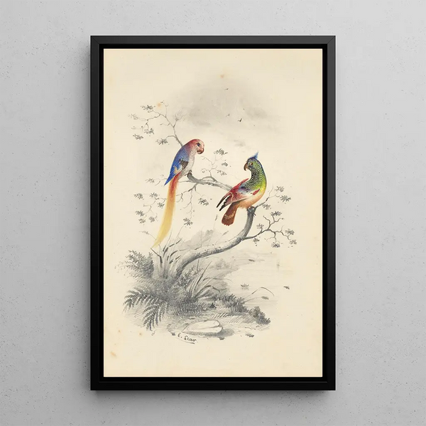 Reproductie van het schilderij Een paar papegaaien - Edward Lear
