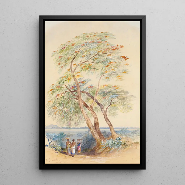 Studie van een boom Trichinopoly India - Edward Lear — ingelijst kunstwerk aan de muur