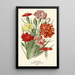 Reproduction of the painting Flowering Carnation - Edward Step
