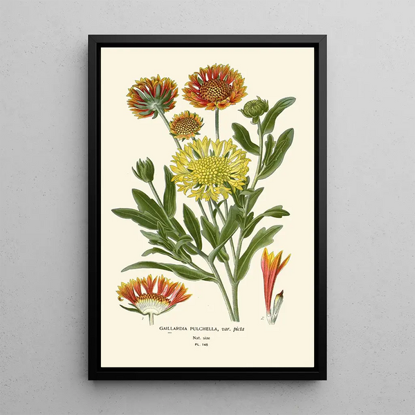 Reproductie van het schilderij Gaillarde elegante - Edward Step