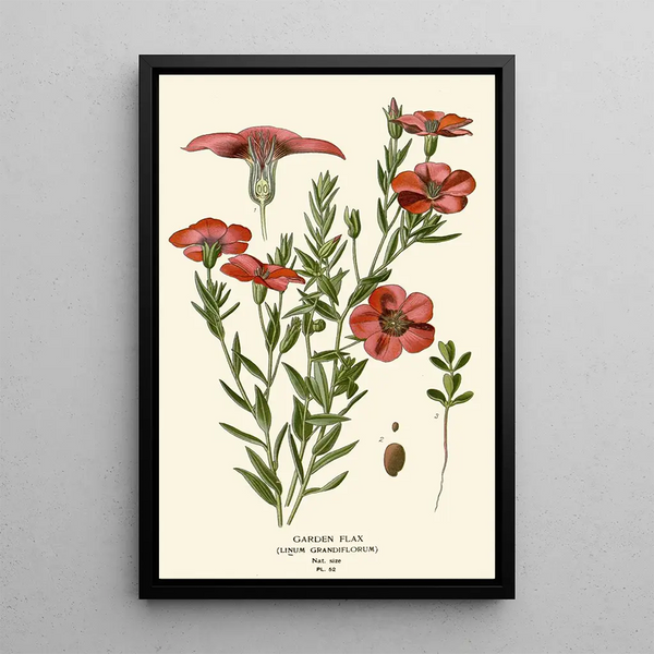 Tuinlijn schilderij - Edward Step — ingelijst kunstwerk aan de muur