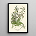 Reproduction of the painting Delphinium hybride - Edward Step | Painting