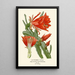 Reproduction of the painting Cactus à tiges feuillues - Edward Step