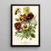 Thought - Edward Step — framed artwork on a wall