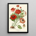 Reproduction of the painting Asian Buttercup Painting - Edward Step