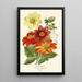 Reproduction of the painting Dahlia Simple - Edward Step