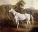 Bolivia - Edward Troye — weergave van het kunstwerk