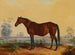 Dixie in het landschap - Edward Troye — weergave van het kunstwerk