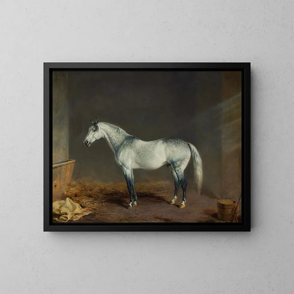 A gray racehorse in a stable - Edward Troye — framed artwork on a wall
