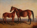 Roxanna en haar veulentje Blarney Stone - Edward Troye — weergave van het kunstwerk