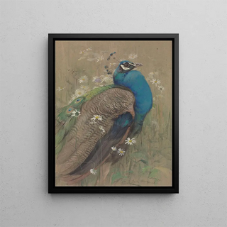 Edwin John Alexander - A peacock and marguerites.webp