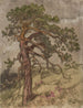 Kalliopetjä - Eero Järnefelt — weergave van het kunstwerk