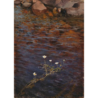 Eero Jrnefelt - Pond Water Crowfoot.webp