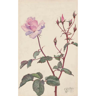 Eleanor FortescueBrickdale - Lady Pirrie Rose.webp