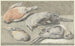 Natuurstudie met vier dode vogels - Elias Vonck — weergave van het kunstwerk