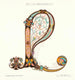 Reproductie van het schilderij Celtic Ornament Schilderij II - Elizabeth A Nedwill
