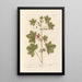 Mauve - Elizabeth Blackwell — ingelijst kunstwerk aan de muur