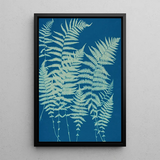 Ella J C Hurd - Ferns of Huntington Long Island Pl03.webp