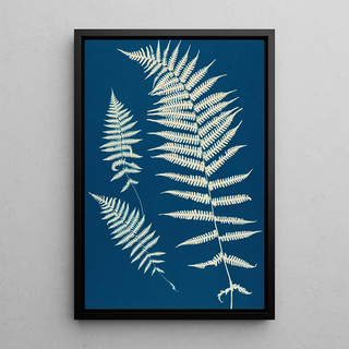 Ella J C Hurd - Ferns of Huntington Long Island Pl20.webp