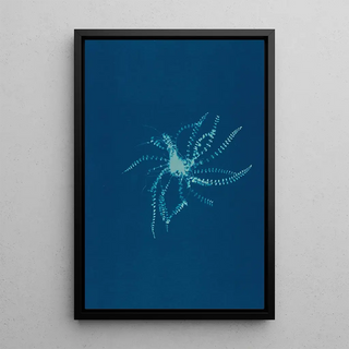 Ella J C Hurd - Ferns of Huntington Long Island Pl21.webp