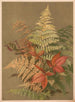 Autumn Ferns - Ellen Fisher — artwork view