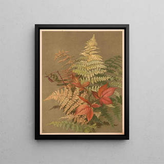 Ellen Fisher - Autumn ferns.webp