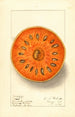 Aegle marmelos - Ellen Isham Schutt — weergave van het kunstwerk