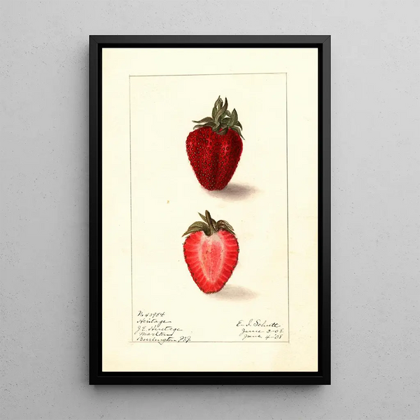 Fragaria Heritage - Ellen Isham Schutt — ingelijst kunstwerk aan de muur