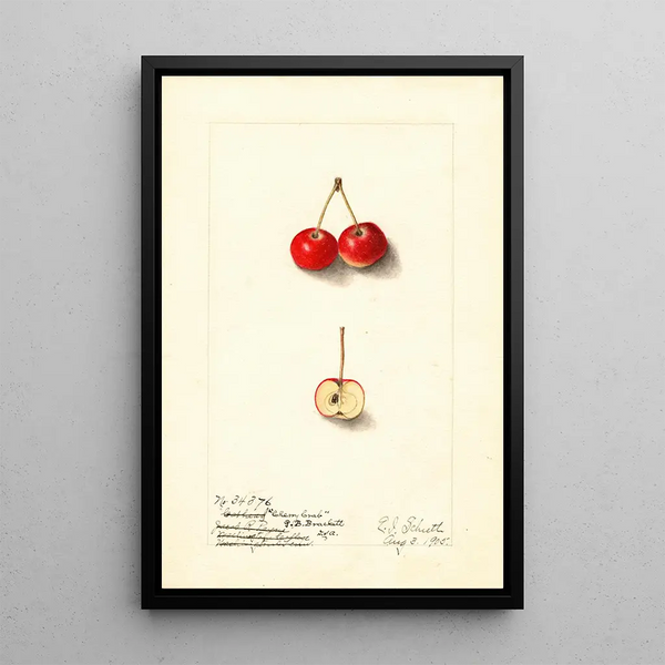 Malus Cherry Crab - Ellen Isham Schutt — ingelijst kunstwerk aan de muur