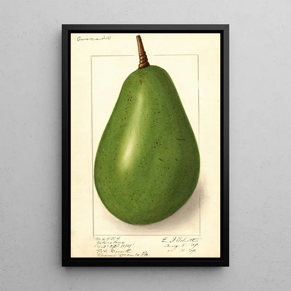 Persea Johnstone - Ellen Isham Schutt — ingelijst kunstwerk aan de muur