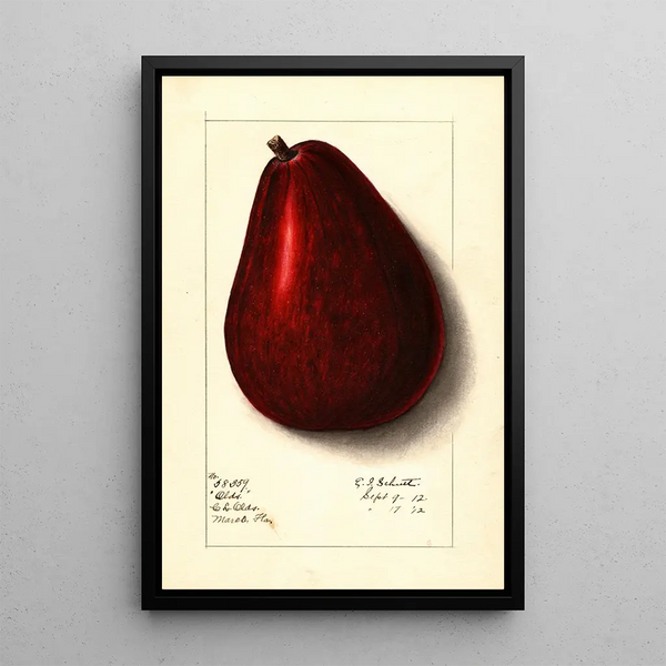 Persea Olds - Ellen Isham Schutt — ingelijst kunstwerk aan de muur