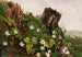 Wilde bloemen nr. 2 - Ellen Robbins — weergave van het kunstwerk