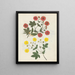 Album de bloemen in papier gesneden pl. 08 - Ellen W. — ingelijst kunstwerk aan de muur