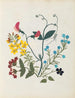 W bloemenalbum in papier gesneden schilderij pl. 09 - Ellen W. — weergave van het kunstwerk