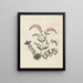 Album de bloemen in papier gesneden pl. 16 - Ellen W. — ingelijst kunstwerk aan de muur