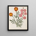 Album de bloemen in papier gesneden pl. 17 - Ellen W. — ingelijst kunstwerk aan de muur