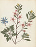 van een papiergesneden bloemenalbum Pl20 - Ellen W. — weergave van het kunstwerk