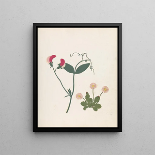 Ellen W - Album of cutpaper flowers Pl23.webp