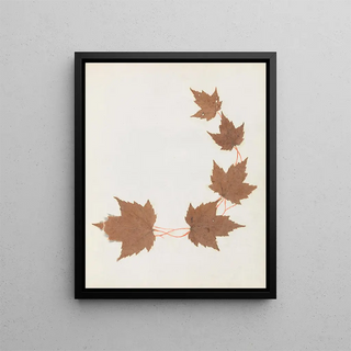 Ellen W - Album of cutpaper flowers Pl26.webp