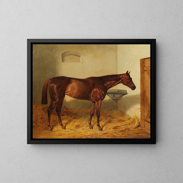 La jument Kincsem - Emil Adam — framed artwork on a wall