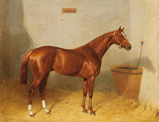 Lord Bobs in de stallen - Emil Adam — weergave van het kunstwerk