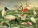 Ooievaars met lepelbek - Emil August Göldi — weergave van het kunstwerk