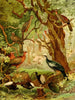 Cujubi Jacs Aracus Jacamins - Emil August Göldi — weergave van het kunstwerk