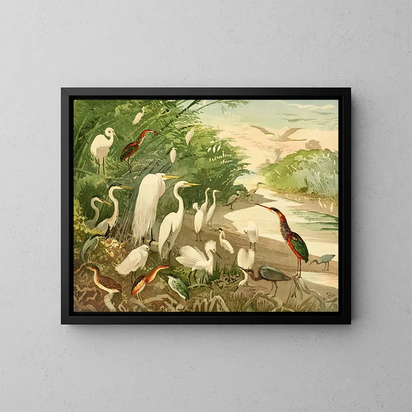 Garas - Emil August Göldi — framed artwork on a wall