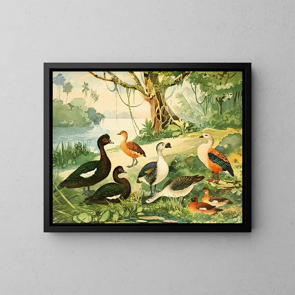 Canards et oies - Emil August Göldi — framed artwork on a wall