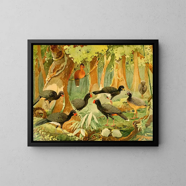 Mutms Urumutm - Emil August Göldi — framed artwork on a wall