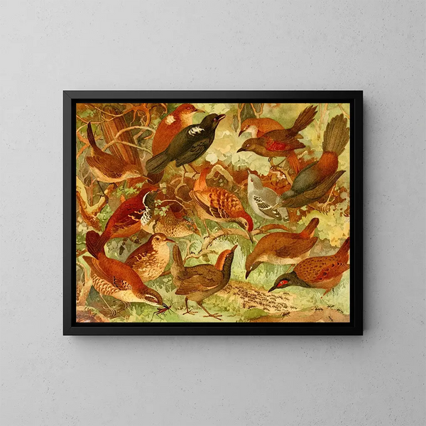Taiacuir Pinto du mato Me da taca - Emil August Göldi — framed artwork on a wall